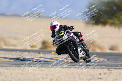 media/Jan-14-2024-SoCal Trackdays (Sun) [[2e55ec21a6]]/Turn 4 Tree of Life (155pm)/